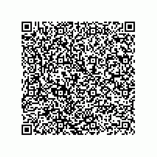 vCard 74162400131