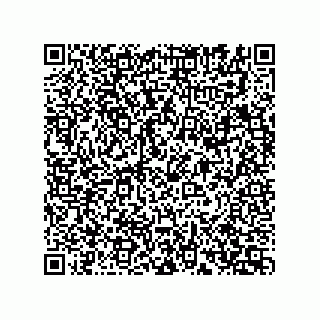 vCard 74162400313