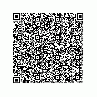 vCard 74162400381