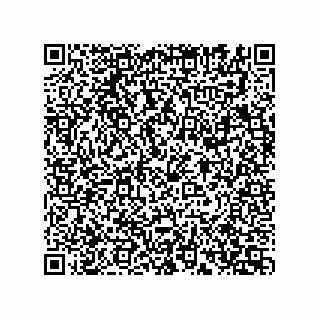 vCard 74162400382