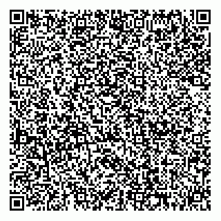 vCard 74162510133