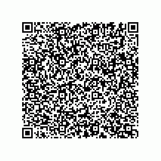 vCard 74162540381