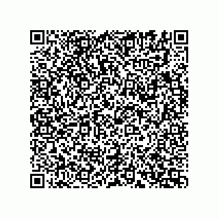 vCard 74162592131
