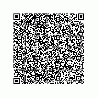 vCard 74163733489