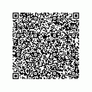 vCard 74163755313