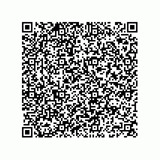 vCard 74163755321
