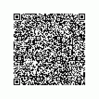 vCard 74164941133