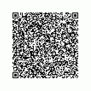 vCard 74165231219