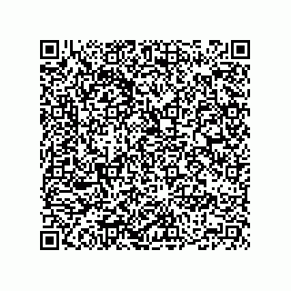 vCard 74165231221