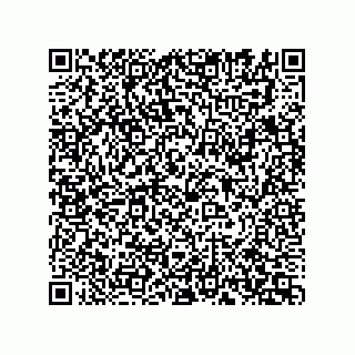 vCard 74165656113