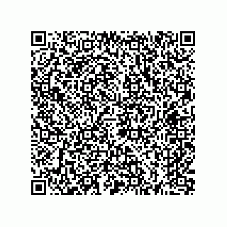 vCard 74165656387