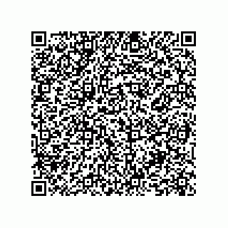 vCard 74233193319