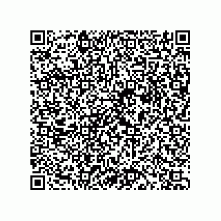vCard 74234381319