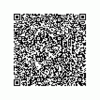 vCard 74234381332