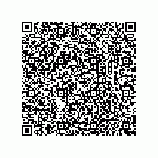 vCard 74234381338