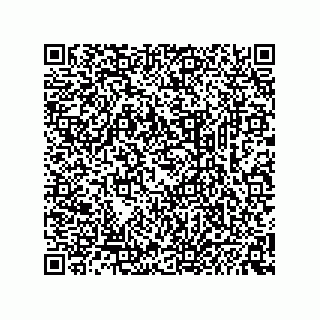vCard 74234381379