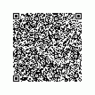 vCard 74234381382