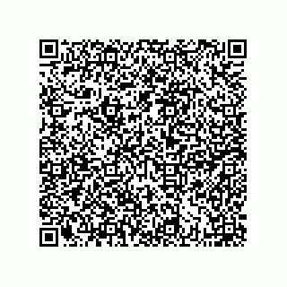 vCard 74234382100