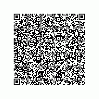 vCard 74239000381