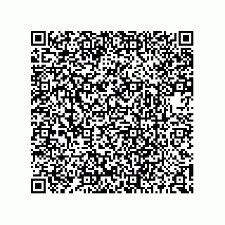 vCard 74243320002