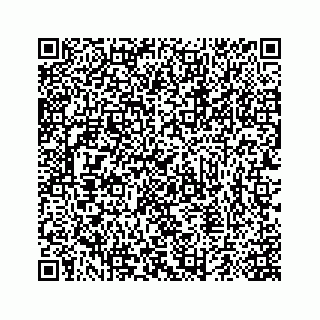 vCard 74243536313