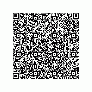 vCard 74273295295