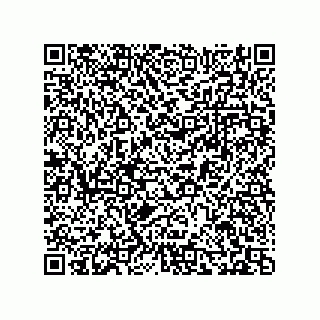 vCard 74273528247