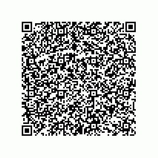 vCard 74273528317