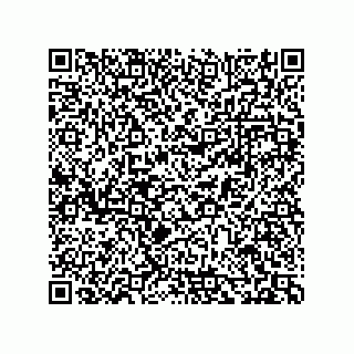 vCard 74273528399