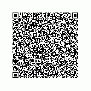 vCard 74713333119