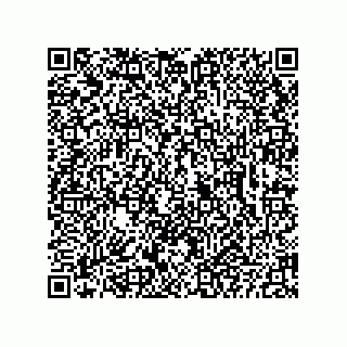 vCard 74715331121