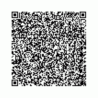 vCard 74723740012