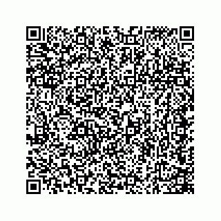 vCard 74723740111