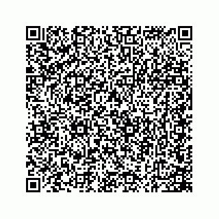 vCard 74724241699
