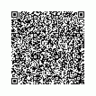 vCard 74724241719