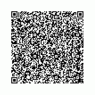 vCard 74724241729
