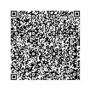 vCard 74724241732