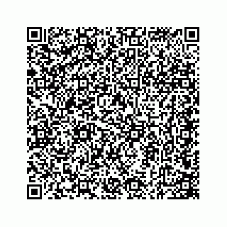 vCard 74724242881