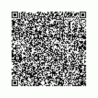 vCard 74724460331