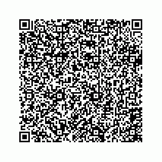 vCard 74724731328