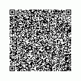 vCard 74724737319