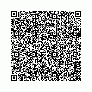 vCard 74724737387