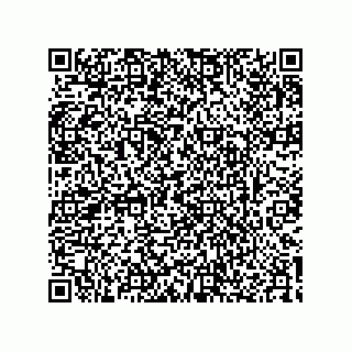 vCard 74724879310