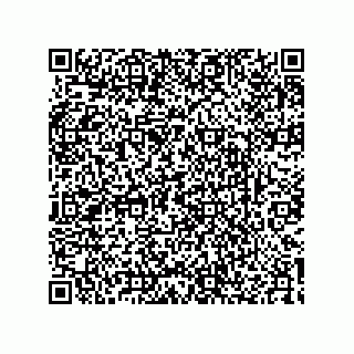 vCard 74724879321