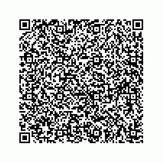 vCard 74725398119