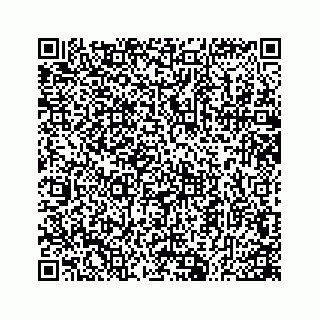 vCard 74726270272