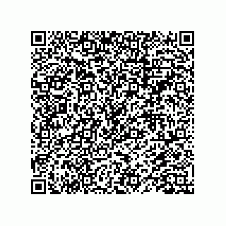 vCard 74732419811