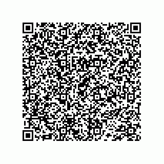 vCard 74732419931