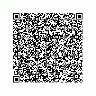 vCard 74733004002