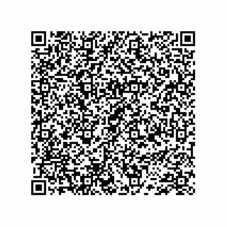 vCard 74733004021